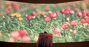 Monogiornale del 28 novembre 2022 - Canadian Soylent Green