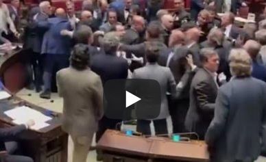 La rissa alla Camera