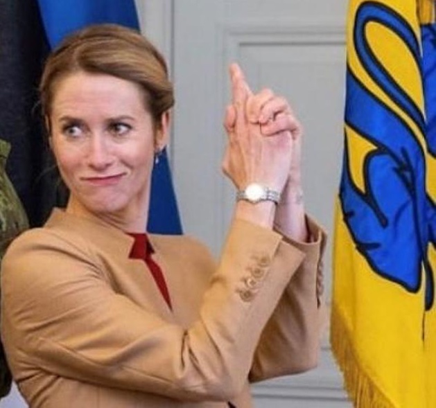 La lezione di storia di Kaja Kallas